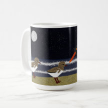 American Oystercatcher avec poussins la nuit