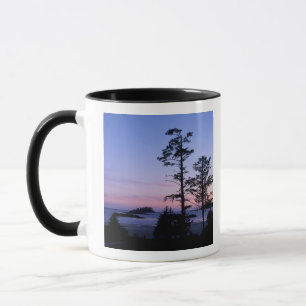 Mug Amérique du Nord, Canada, île de Vancouver, arbr