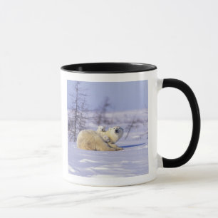 Mug Amérique du Nord, Canada, Manitoba, Churchill. 9