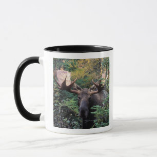 Mug Amérique du Nord, Canada, Nouvelle-Écosse, Cap-Bre
