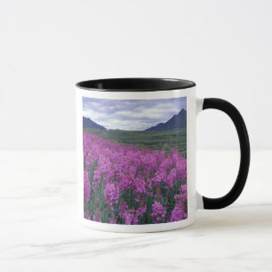 Mug Amérique du Nord, Canada, Yukon. Épilobe en fleurs