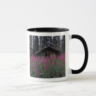 Mug Amérique du Nord, Canada, Yukon. Trappeurs abandon