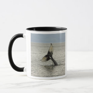 Mug Amérique du Nord, États-Unis, AK, Passage Intérieu