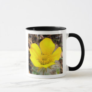 Mug Amérique du Nord, États-Unis, Alaska, Denali Natio
