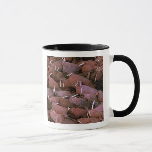Mug Amérique du Nord, États-Unis, Alaska, Yukon Delta