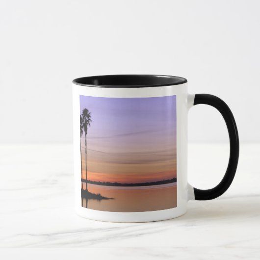 Mug Amérique du Nord, États-Unis, Floride, Mt. Dora, u (Droite)