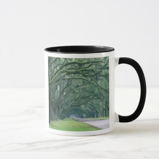 Mug Amérique du Nord, États-Unis, Géorgie, Savannah, (Droite)