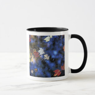 Mug Amérique du Nord, États-Unis, NH, Feuilles dans un