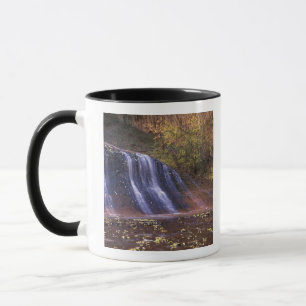Mug Amérique du Nord, États-Unis, Utah, parc national 