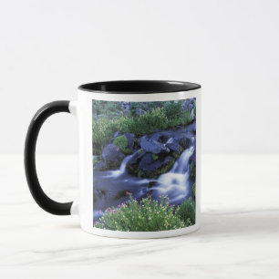 Mug Amérique du Nord, États-Unis, Washington, Mt. Rain