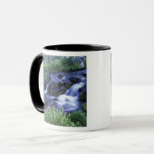 Mug Amérique du Nord, États-Unis, Washington, Mt Raini (Devant gauche)