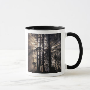 Mug Amérique du Nord, États-Unis, Washington, Olympic