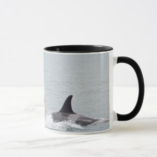 Mug Amérique du Nord, États-Unis, Washington, San Juan