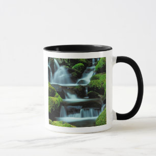 Mug Amérique du Nord;États-Unis; Washington, Sol Duc