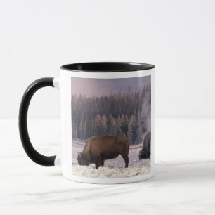 Mug Amérique du Nord, États-Unis, Wyoming, Yellowstone