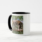 Mug Amérique du Sud, Equateur, Amazonie. Ocelot (Devant gauche)