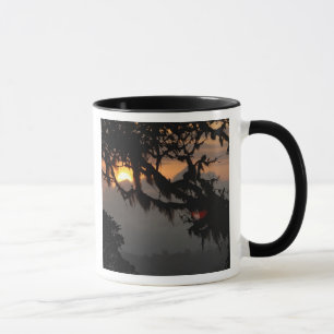 Mug Amérique du Sud, Équateur, scène de forêt nuageuse