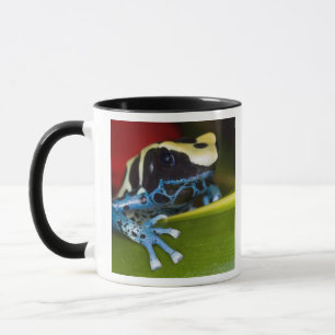 Mug Amérique du Sud, République du Surinam. Gros plan