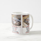 Mug Amis de chat (Devant droit)