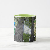 Mug Amis des arbres 001 en bois de Springfield (Centre)