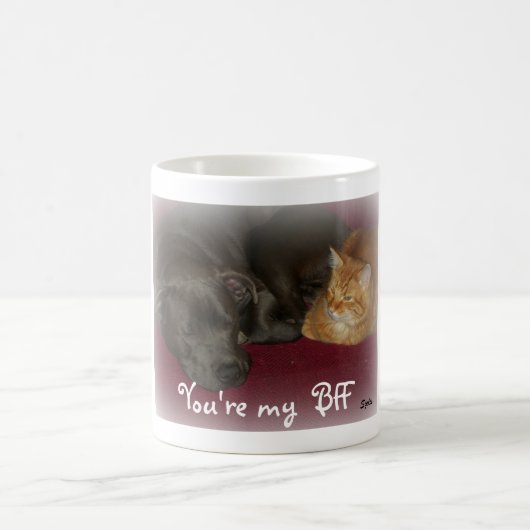 Mug Amis pour Toujours Chien et Chat (Centre)