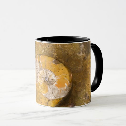 Mug Ammonite et autres fossiles en roche (Devant droit)