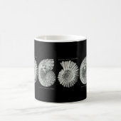 Mug Ammonites (Centre)