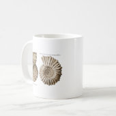 Mug Ammonites (Devant gauche)