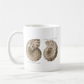 Mug Ammonites (Gauche)
