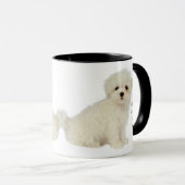 Mug Amour Chiens Maltais Tellement de Citation Amusant (Devant droit)