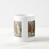 Mug AMOUR de chameau - AUCUNES FRONTIÈRES (Centre)