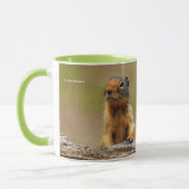 Mug Amusant Cute Saucy Columbian Ground Squirrel (Gauche)
