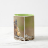 Mug Amusant Cute Saucy Columbian Ground Squirrel (Centre)