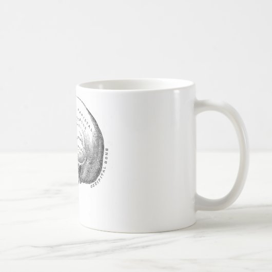 Mug Anatomie de crâne (Droite)