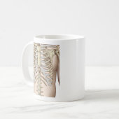 Mug Anatomie de squelette masculin Fuzzy Express® (Devant gauche)
