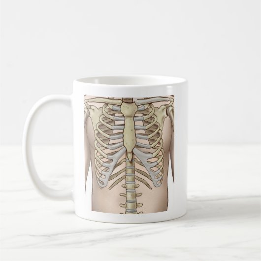 Mug Anatomie de squelette masculin Fuzzy Express® (Gauche)