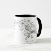 Mug anatomie des oiseaux (Devant droit)