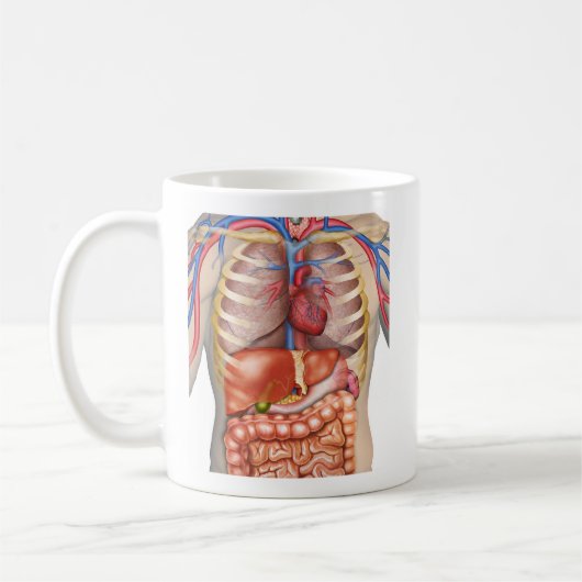 Mug Anatomie des organes internes Fuzzy Express® (Gauche)