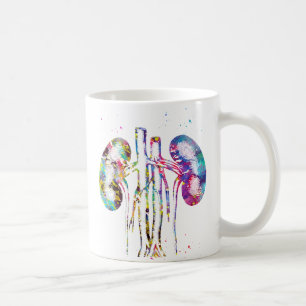 Mug Anatomie des reins