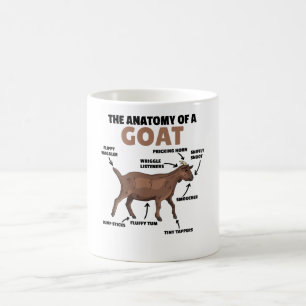 Mug Anatomie D'Une Chèvre Cute Chèvres Explication
