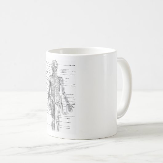 Mug Anatomie humaine (Devant droit)