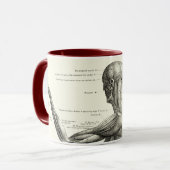 Mug Anatomie humaine, muscles du corps humain (Devant gauche)