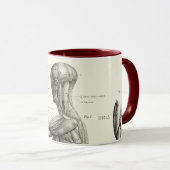 Mug Anatomie humaine, muscles du corps humain (Devant droit)
