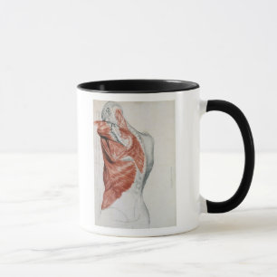 Mug Anatomie humaine ; Muscles du torse et de l'épaul