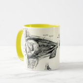 Mug Anatomie - sens d'humain (Devant gauche)