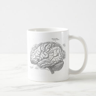 Mug Anatomie vintage de cerveau