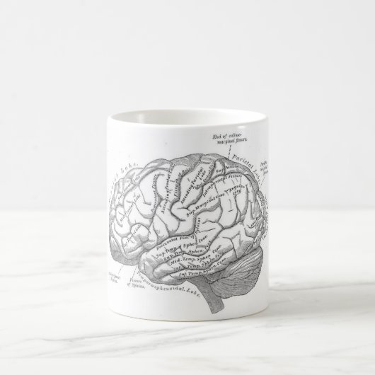 Mug Anatomie vintage de cerveau (Centre)