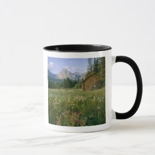 Mug ancienne cabane du Service des parcs dans la vallé
