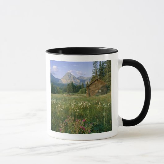 Mug ancienne cabane du Service des parcs dans la vallé (Droite)