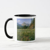 Mug ancienne cabane du Service des parcs dans la vallé (Gauche)